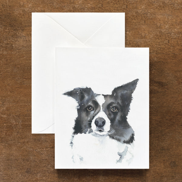 Bella the Border Collie Dog Card