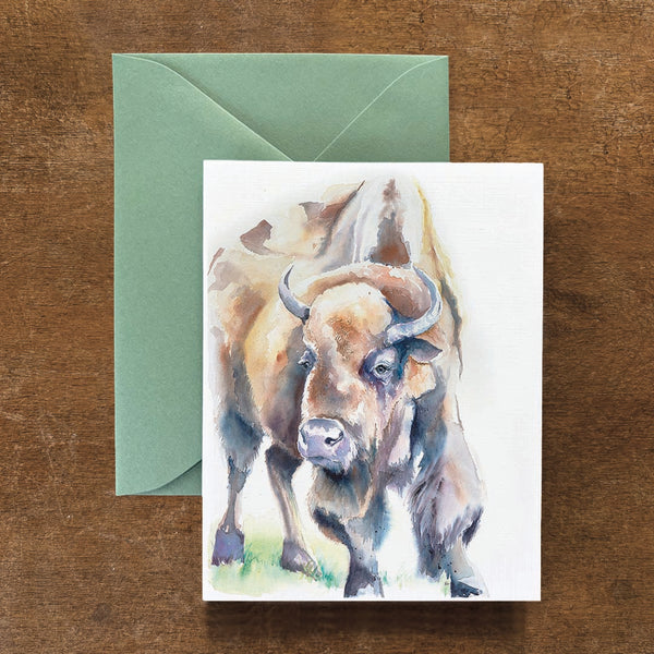American Bison Card