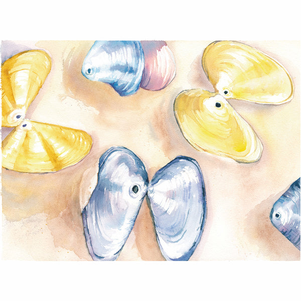 Butterfly Shells Watercolor Print