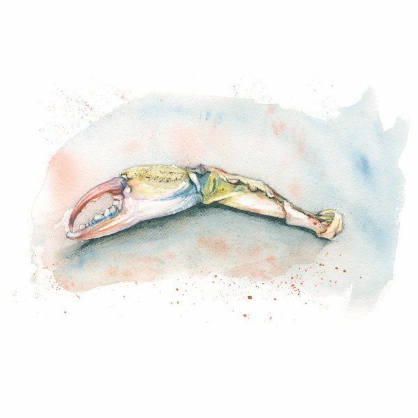 Blue Crab Pincer Watercolor Print