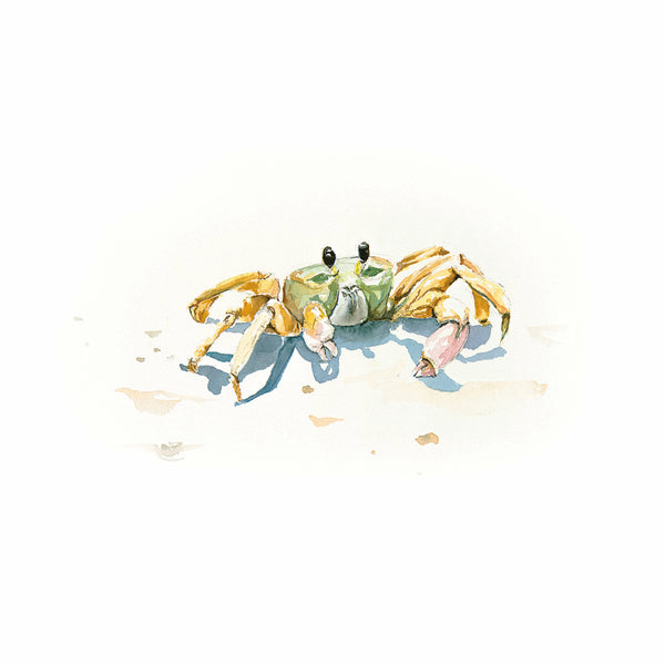 Ghost Crab Watercolor Print