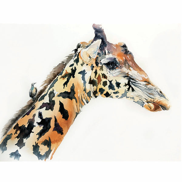 Giraffe - A Place to Land - Watercolor Print