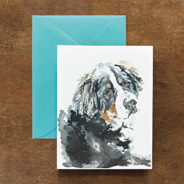 Griffey the Bernese Mountain Dog Card