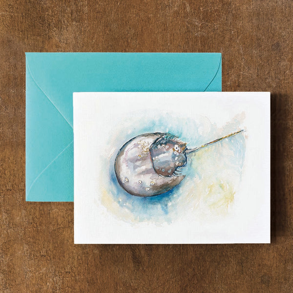 Horseshoe Crab Card