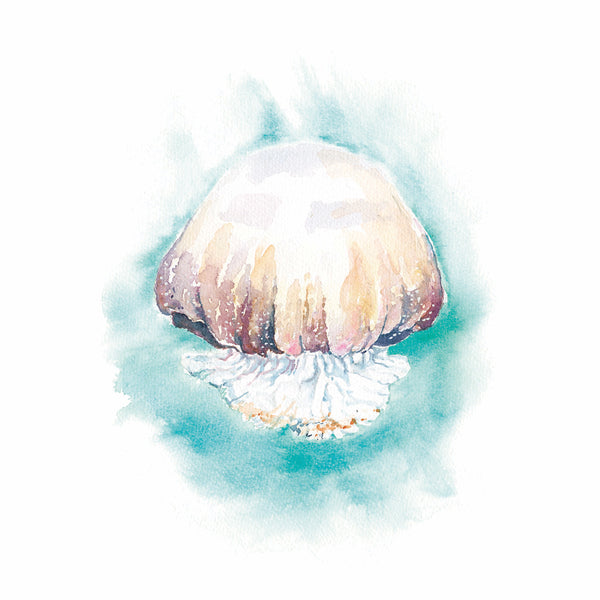 Cannonball Jelly Watercolor Print