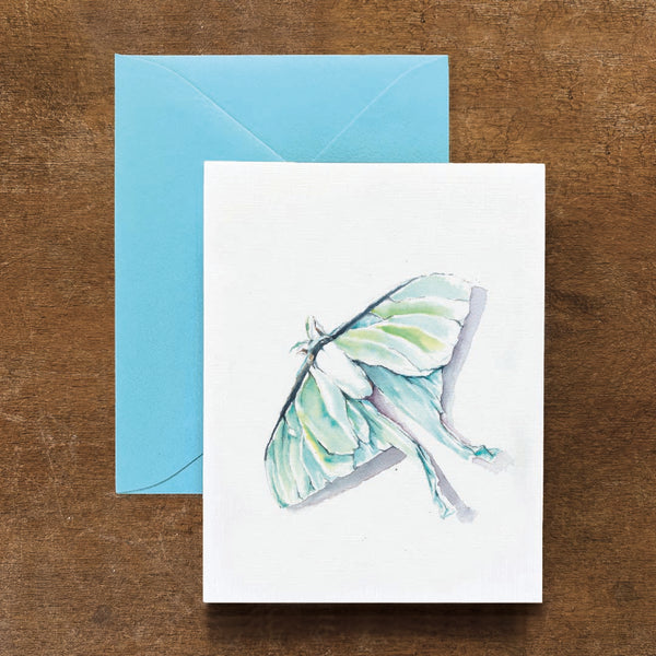 Luna Moth Card