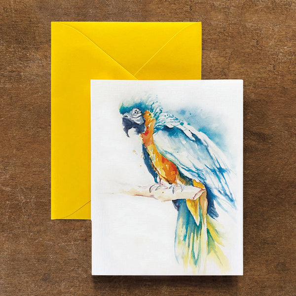 Blue and Gold Macaw Card