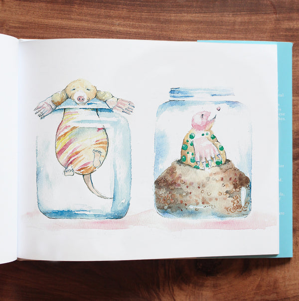 Photo of mole illustration in Mole Book