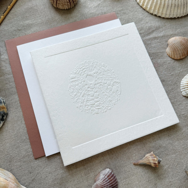 Paintable Sea Urchin Card