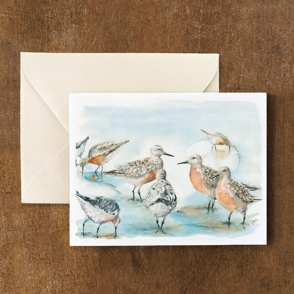 Rufa Red Knot Card