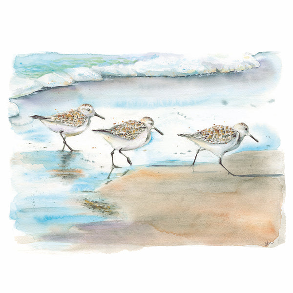 Sanderlings Watercolor Print
