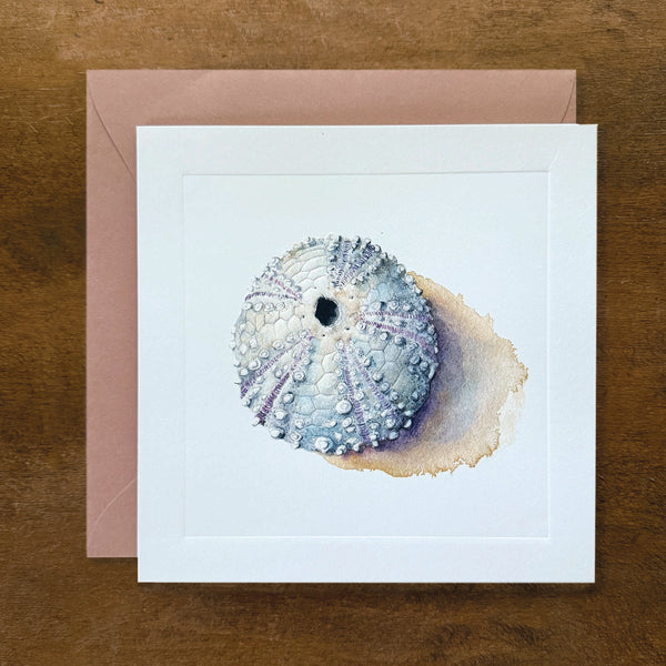 Sea Urchin Embossed Card