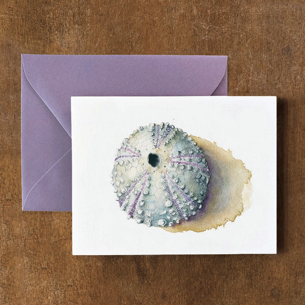 Sea Urchin Card