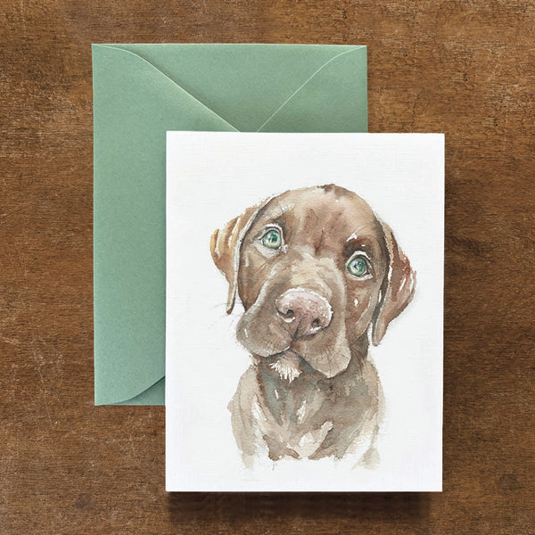 Ted the Chocolate Lab Dog Card