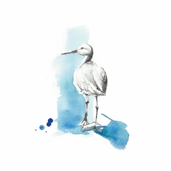 Willet Watercolor Print
