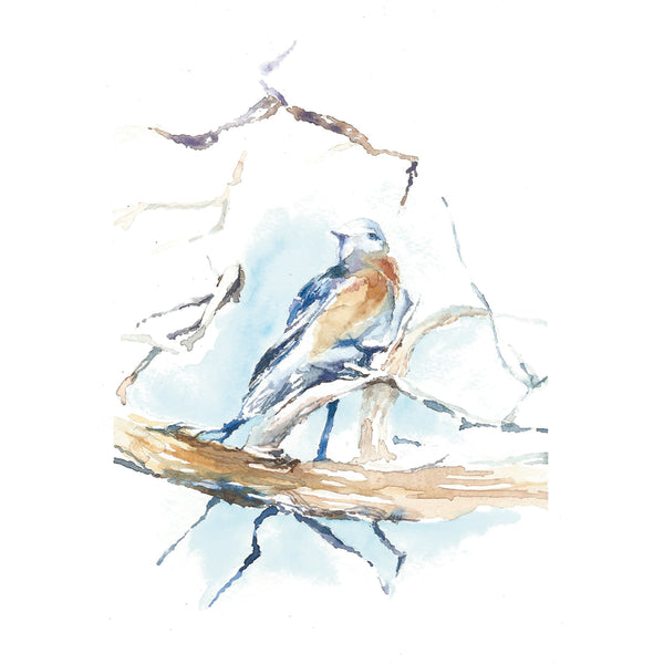 Arizona Bluebird Watercolor Print