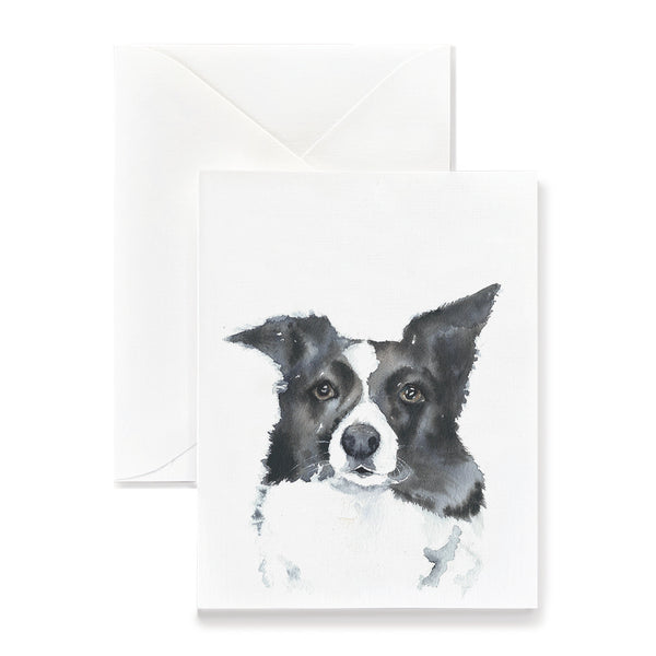 Bella the Border Collie Dog Card