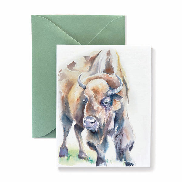 American Bison Card