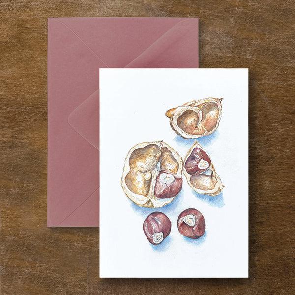 Buckeyes Card