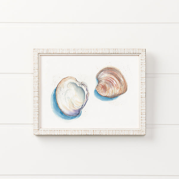 Quahog Clam Watercolor Print