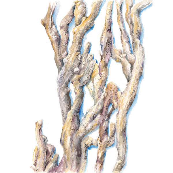 Finger Sponge Watercolor Print