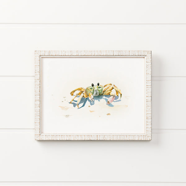 Ghost Crab Watercolor Print