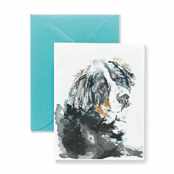 Griffey the Bernese Mountain Dog Card