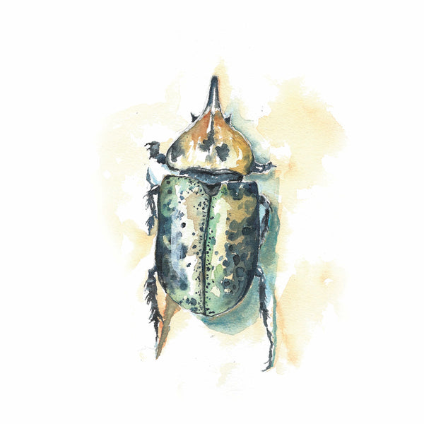 Hercules Beetle Watercolor Print