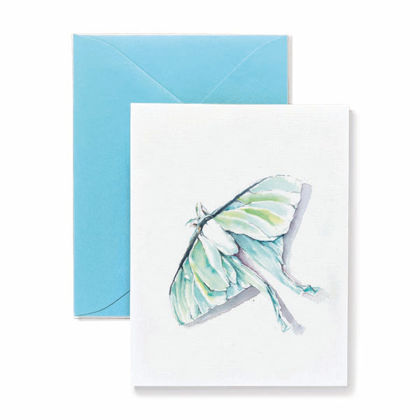 Luna Moth Card