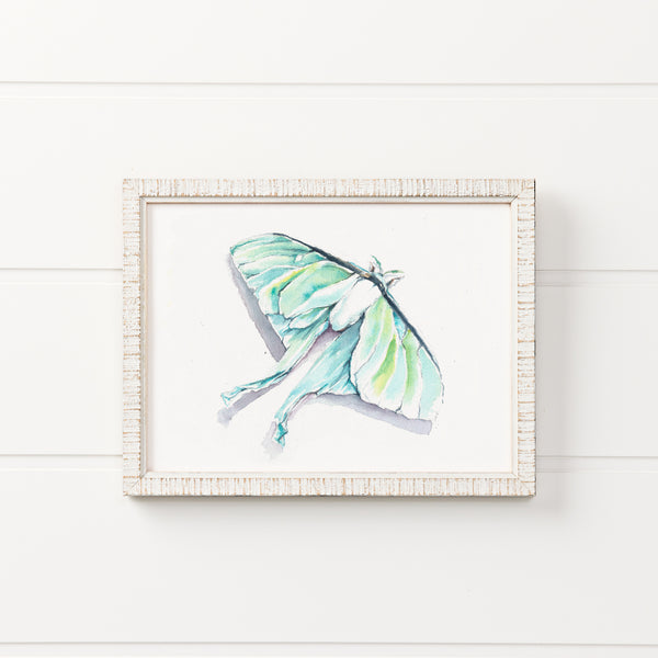 Luna Moth Watercolor Print