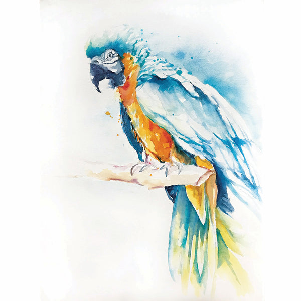 Blue and Gold Macaw Watercolor Print