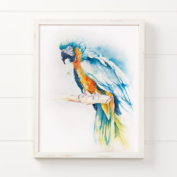 Blue and Gold Macaw Watercolor Print