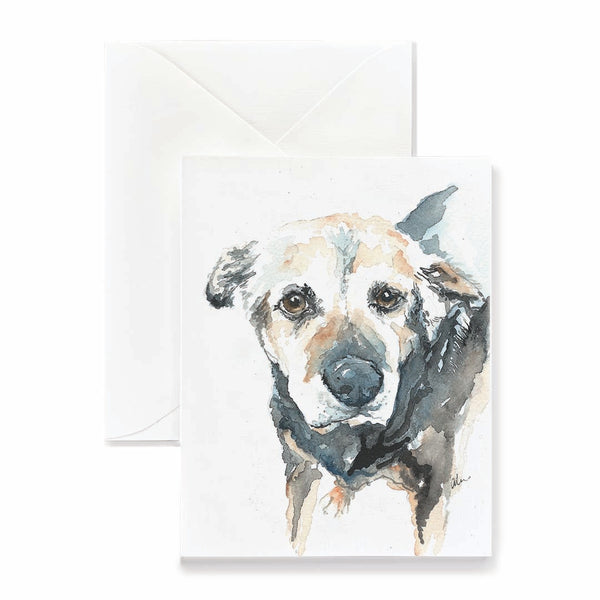 Mae the Mixed Breed Dog Card