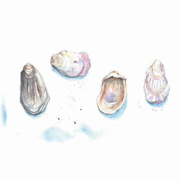 Oyster Shell Watercolor Print