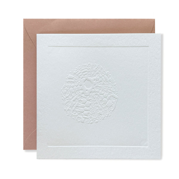 Paintable Sea Urchin Card