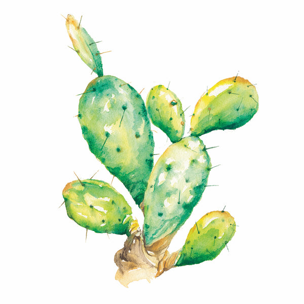 Prickly Pear Watercolor Print