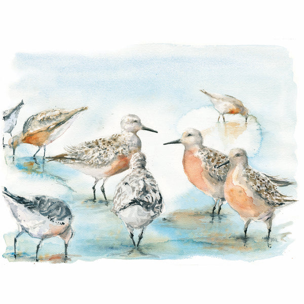 Red Knots Watercolor Print