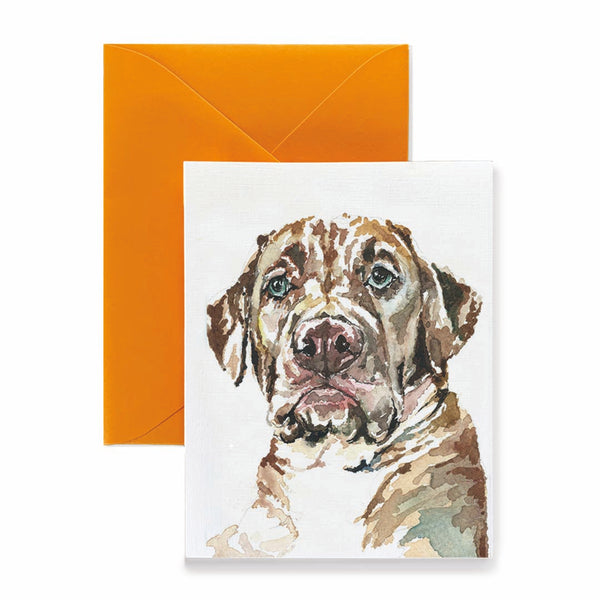 Samson the Mixed Breed Dog Card