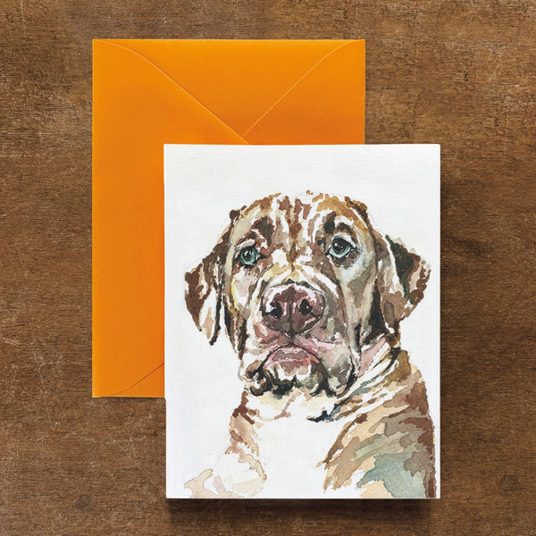 Samson the Mixed Breed Dog Card