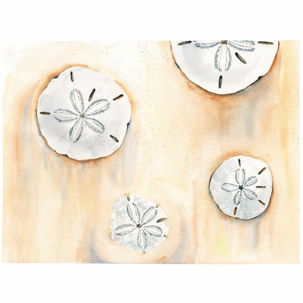 Sand Dollar Watercolor Print