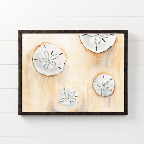 Sand Dollar Watercolor Print