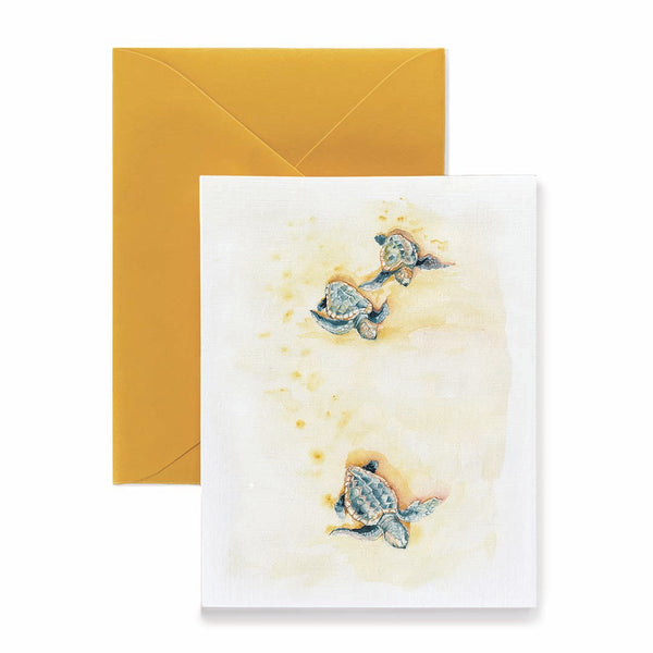 Loggerhead Hatchlings Card
