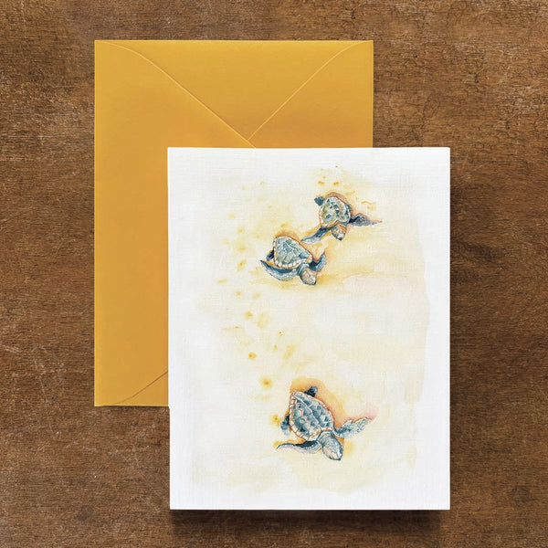 Loggerhead Hatchlings Card