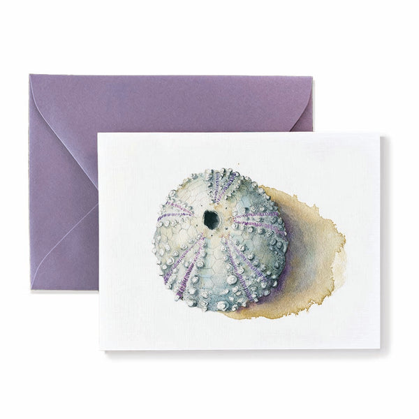 Sea Urchin Card