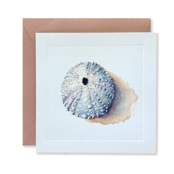 Sea Urchin Embossed Card