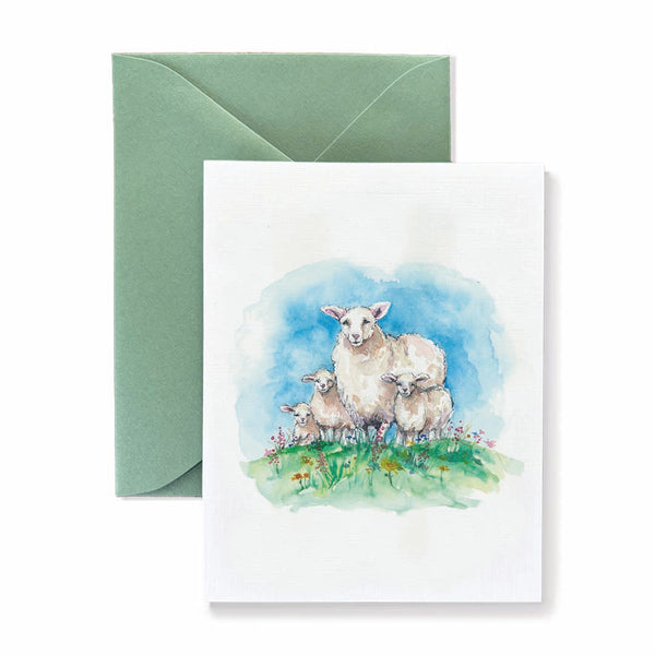 Sheep Card