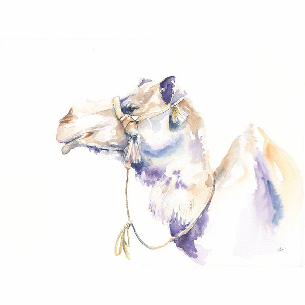Desert Camel Watercolor Print