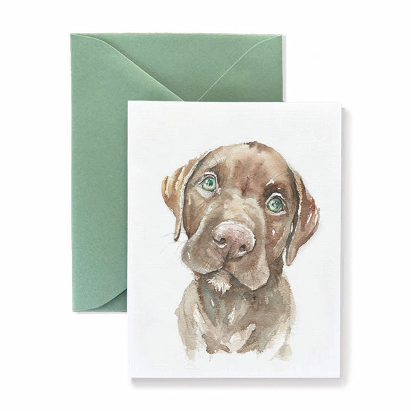 Ted the Chocolate Lab Dog Card