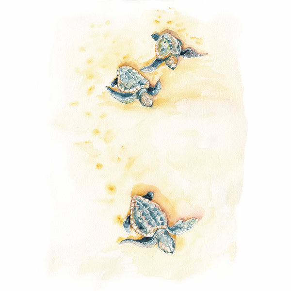 Sea Turtles Watercolor Print