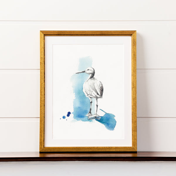 Willet Watercolor Print